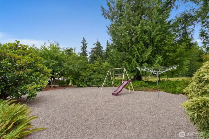 Back Yard. Back Yard.