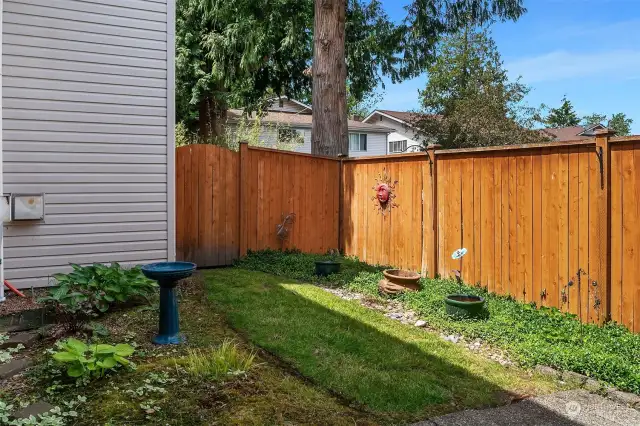 Private backyard & fully fenced