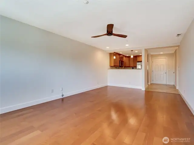 Living Room/Entrance