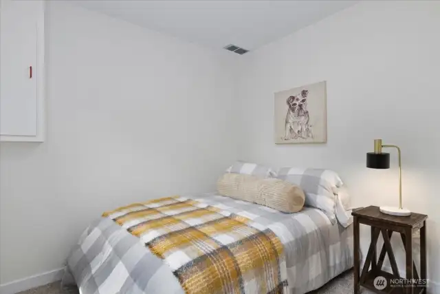Lower level bedroom with egress.