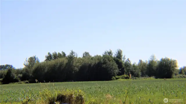 the territorial views are amazing, such a peaceful setting