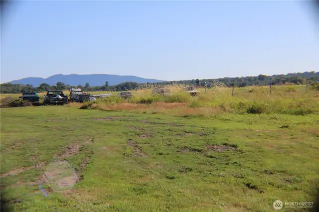 surrounded on 3 sides by fields, this much  privacy is hard to find minutes from Bellingham and Ferndale