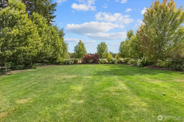 Gorgeous lawn area currently used for outdoor weddings.
