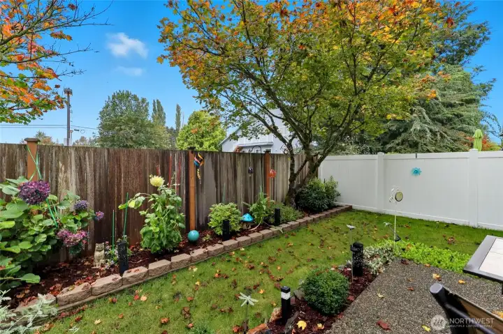 Fenced in yard