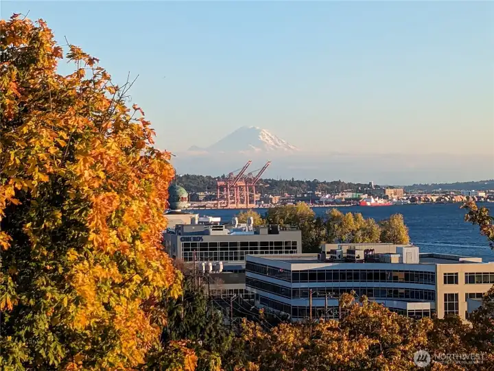 Idyllic Mount Rainier views are a main stay at Harbor House.
