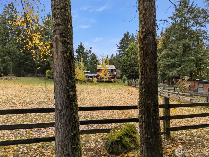 Otherside of Driveway its circular around entire property