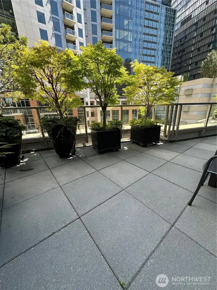Outdoor terrace with greenery and space for entertaining.