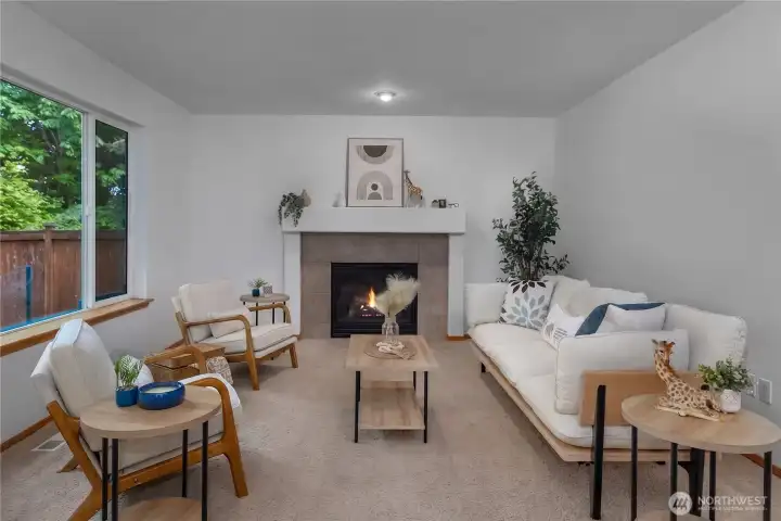 Gas fireplace Gas fireplace