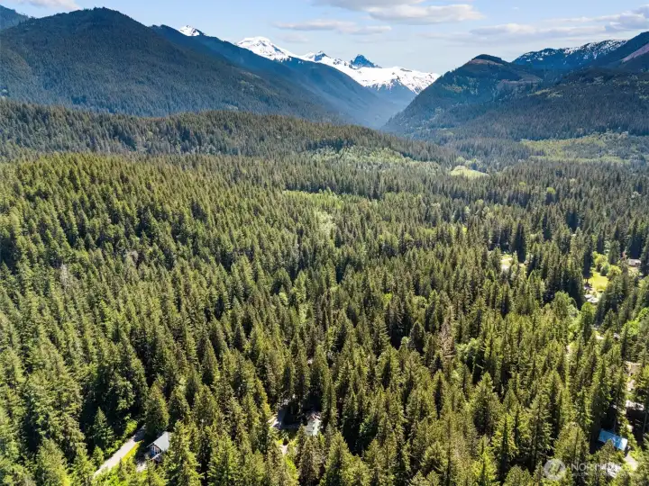 Stunning panoramic mountain and forest views nearby.