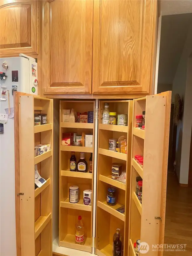 check out this amazing pantry!