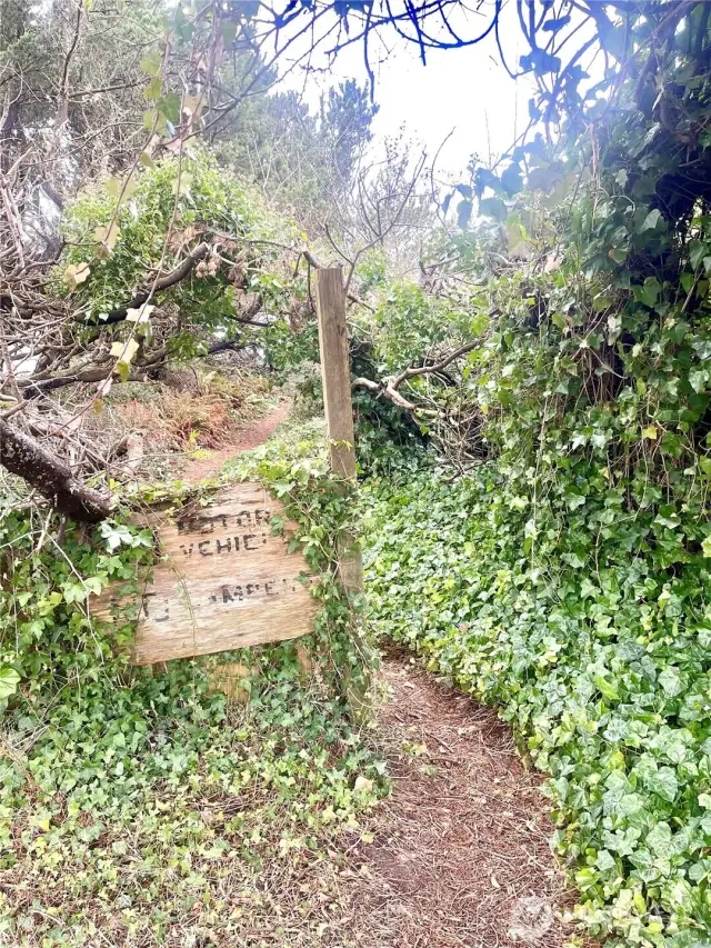 trail to the beach is just down the street