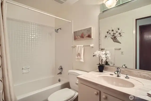 The full guest bath is updated.