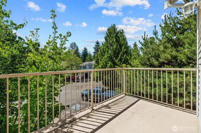 Large Deck