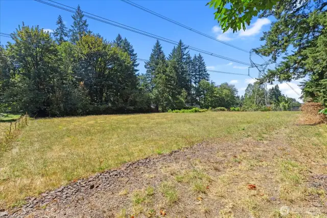 Fenced pasture.