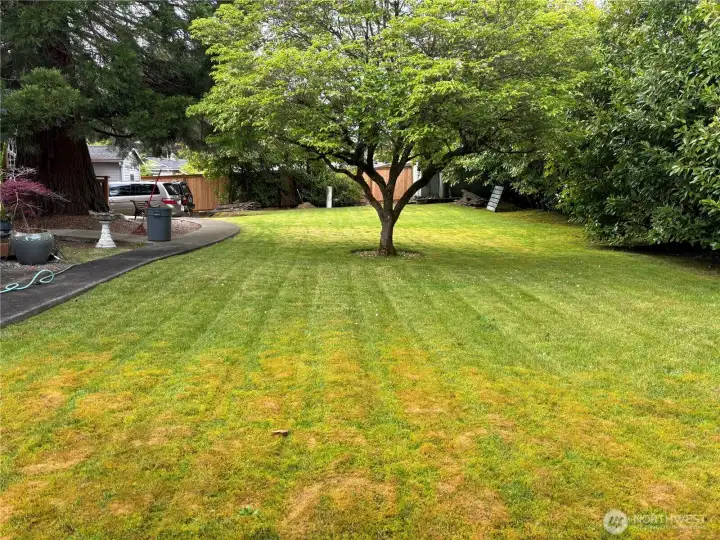This is another back yard picture from the other side showing the two wood storage structures.