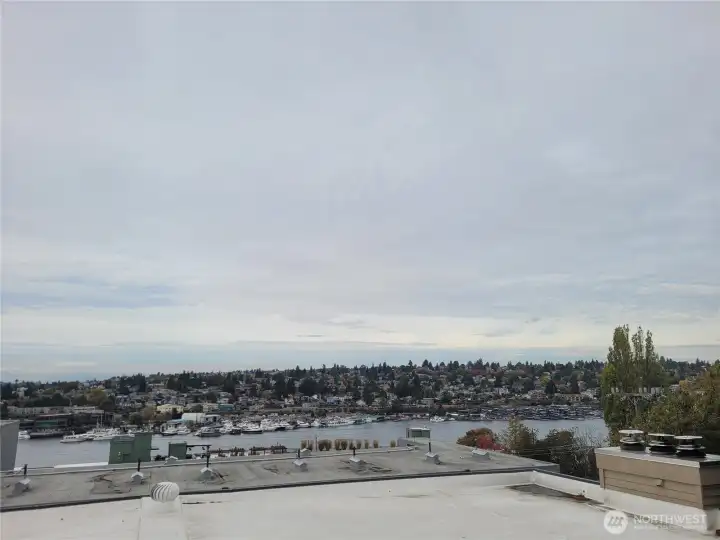 Lake Union view