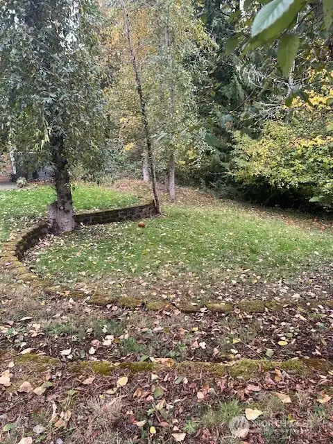 Spacious and inviting, the large front yard creates the perfect first impression.