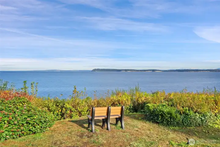 Neighborhood look out