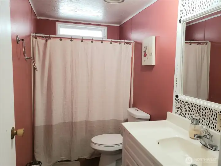 A Picture of the Large Main Guest Bath Room with Newer Paint, Trim, Sink, Toilet, Faucet, Counter Top, and Vinyl Plank Flooring.