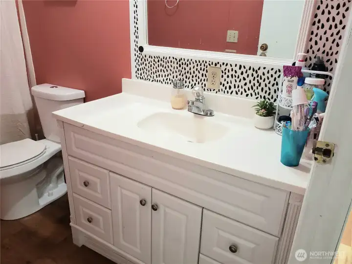 A Different Picture of the Large Main Guest Bath Room with Newer Paint, Trim, Sink, Toilet, Faucet, Counter Top, and Vinyl Plank Flooring.