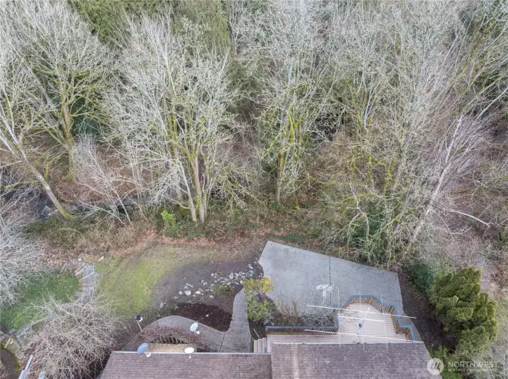 Rear garden with creek behind & Old growth forest.