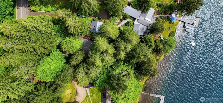 Lakeside is surrounded by trees, yet is bright & sunny.