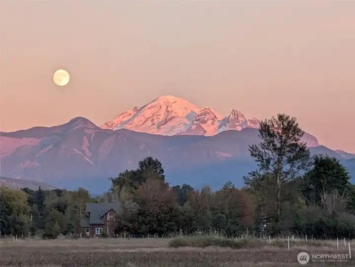 View from front porch