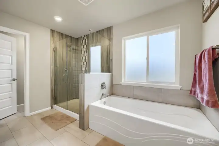 Primary Bathtub next to upgraded shower