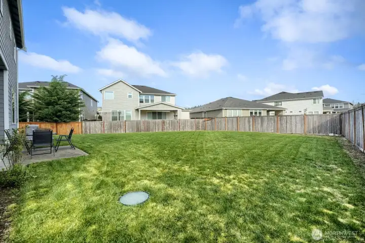 Another Large view of yard from house!