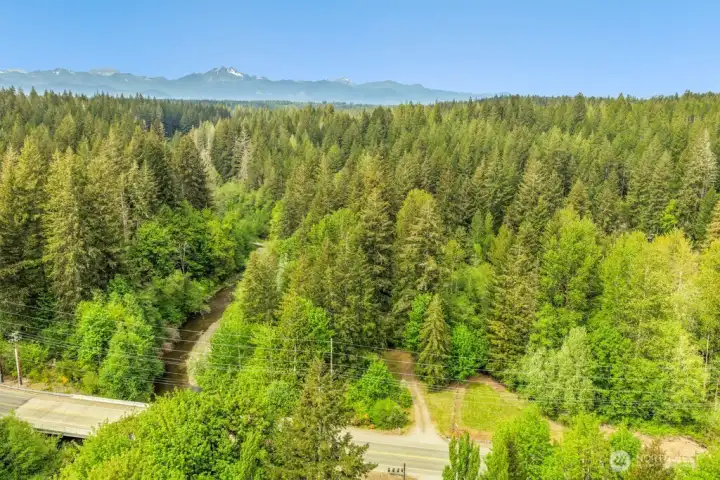View of driveway from Belfair Tahuya Rd (sky view)