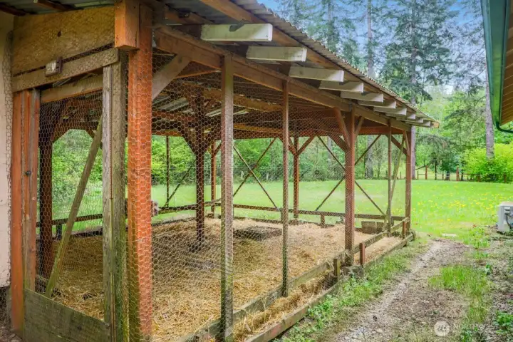 Chicken Coop