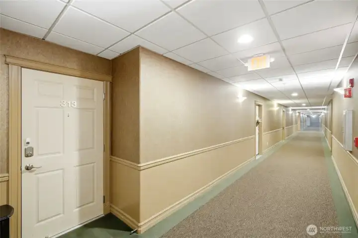 Hallway leading to condo. Hallway leading to condo.