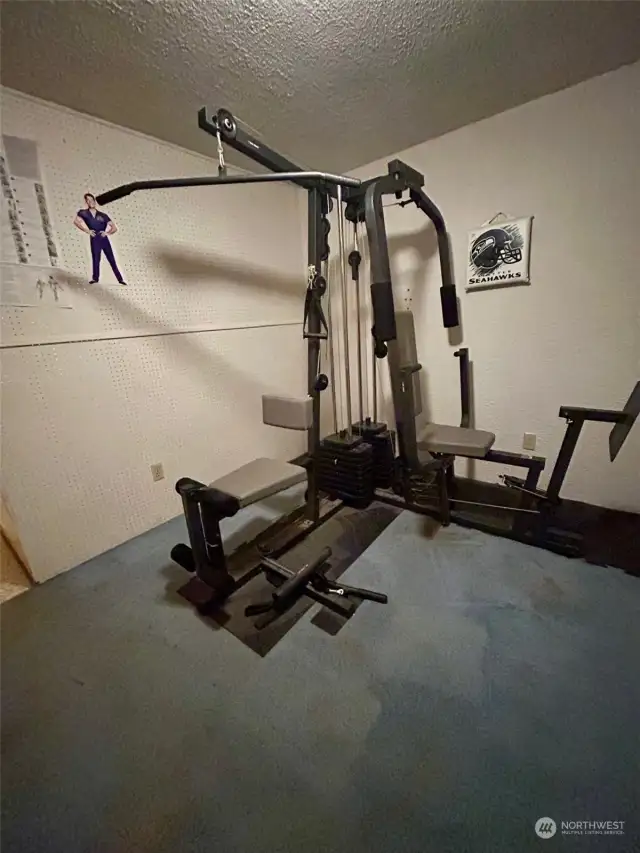Workout room  equipment stays