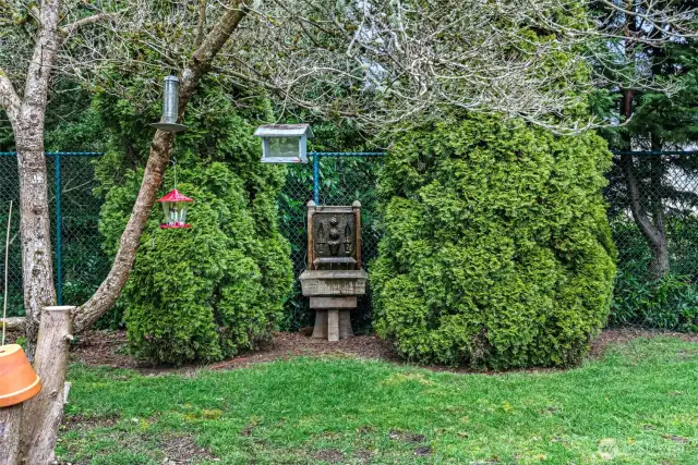 Tranquil Backyard