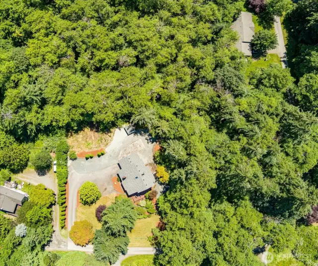 Great shot from drone capturing how lush this property is all year!