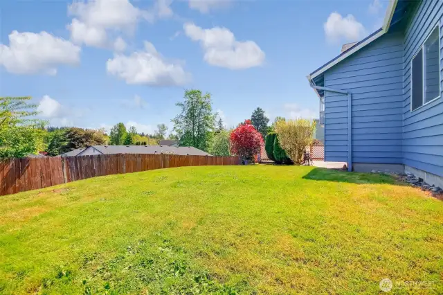 Backyard