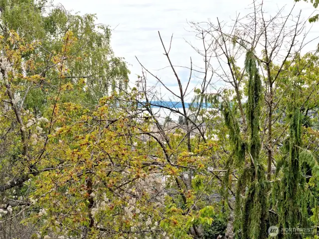 From Deck