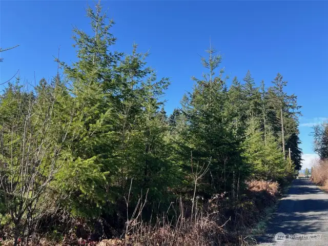 property access gravel road. Property on left in this photo.