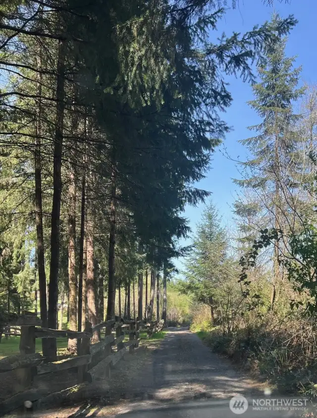 property line, neighbor access road.