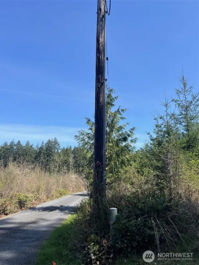 property corner/power pole. property on right.