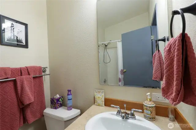 Guest bath with tub and shower