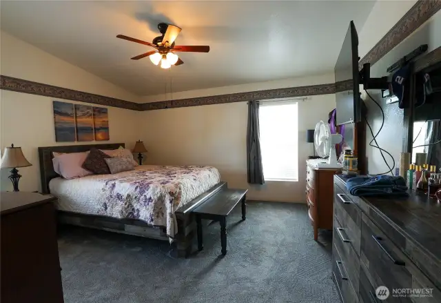 New ceiling fan & light