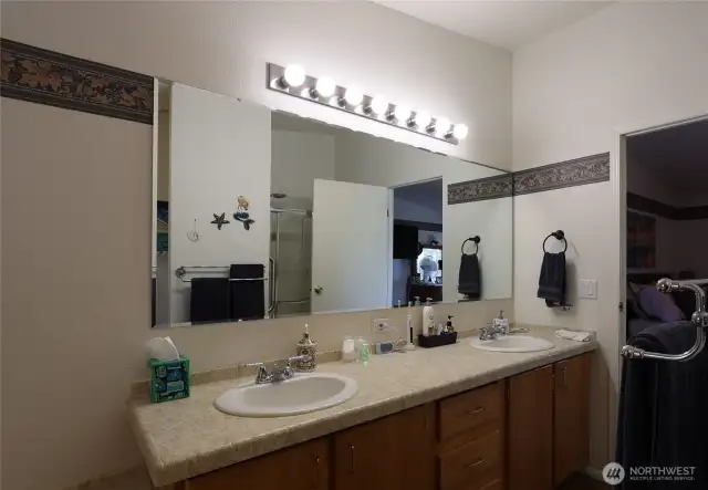 Dual sinks