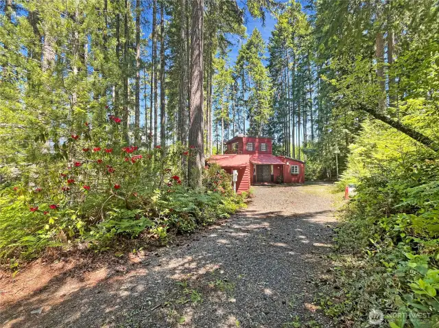 390 N Dow Mtn Dr- Your Forest Cabin awaits!