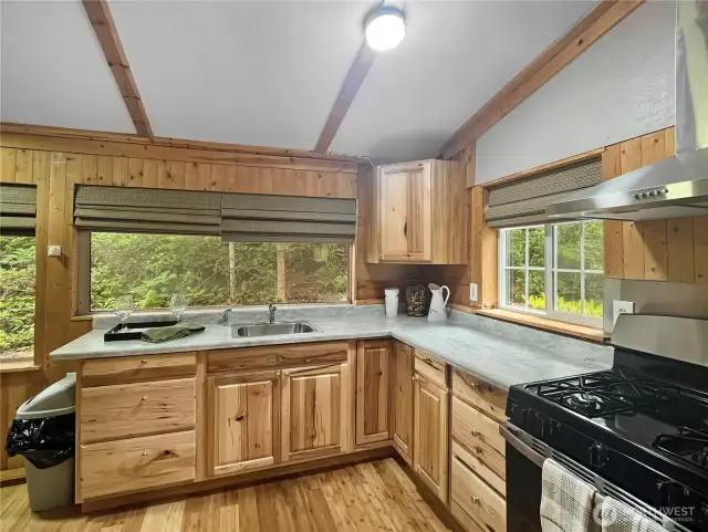 Ample kitchen space with lots of windows let the light in