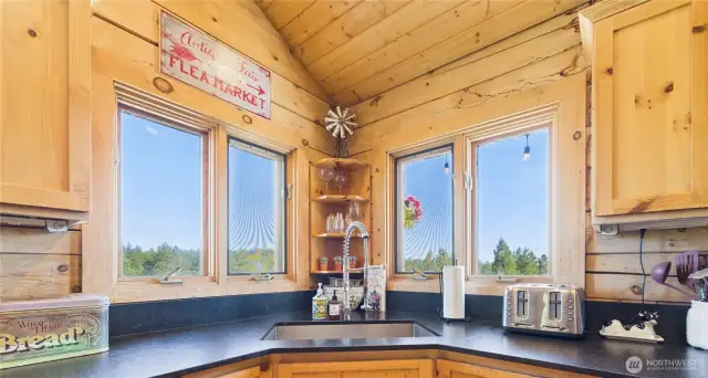 Kitchen window
