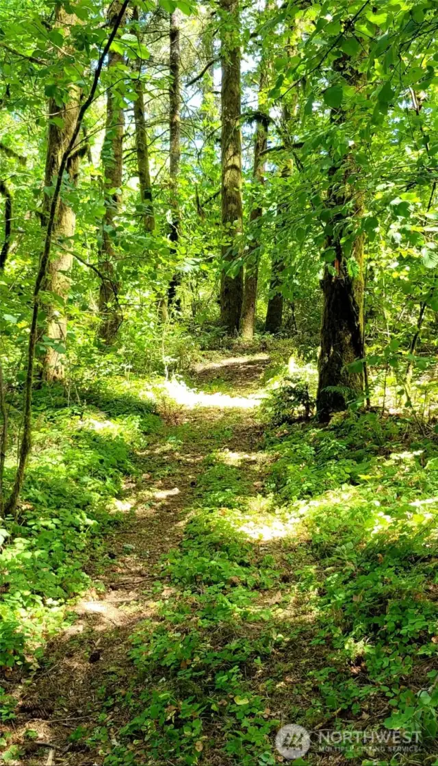 Picture of path to explore the property