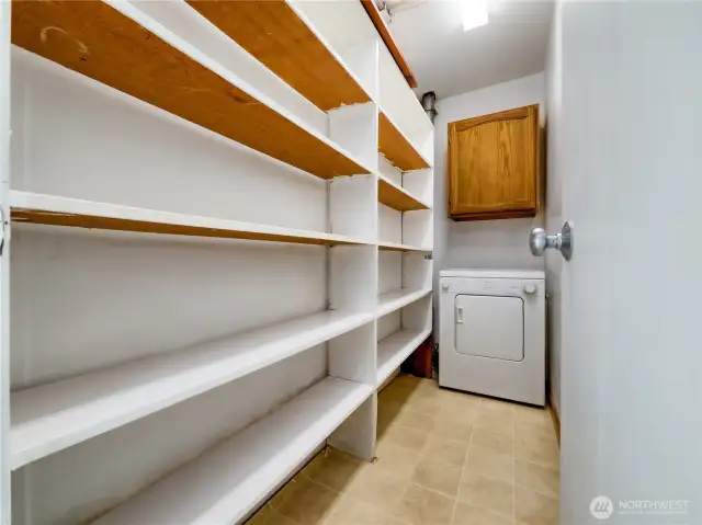 Versatile pantry with washer—smart, space-saving design for convenience.