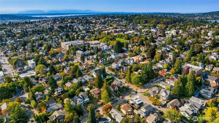 Tree-lined streets emphasize the home’s balance of privacy and urban access.