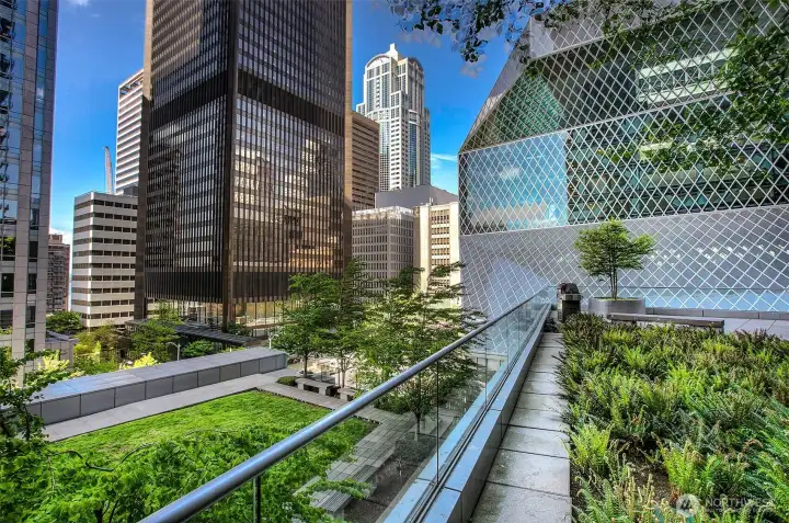 Landscaped outdoor plaza patio with separate green space pet area.